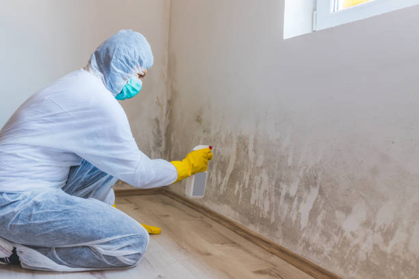 Licensed Bathroom Mold Removal service in Hampton, VA - WQB Mold Removal