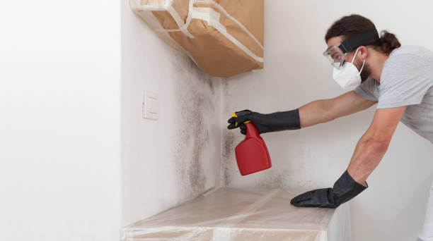 Professional Bathroom Mold Removal technician working in Hampton, VA