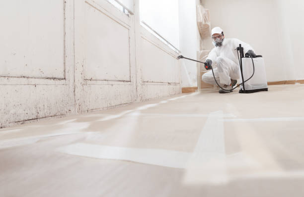 24/7 Emergency Bathroom Mold Removal experts in Hampton, VA