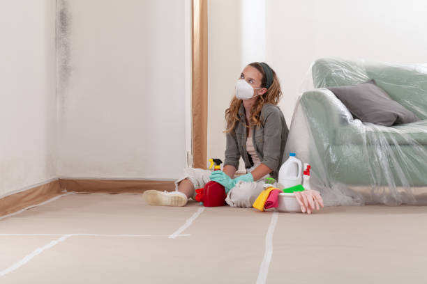 Reliable Bathroom Mold Removal contractor in Hampton, VA by WQB Mold Removal