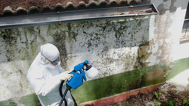 Top rated local Bathroom Mold Removal specialists in Hampton, VA